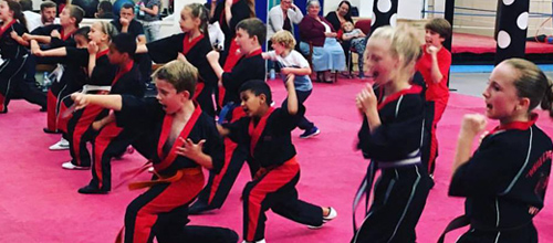 Little Ninjas