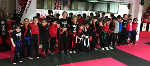 Little Ninjas
